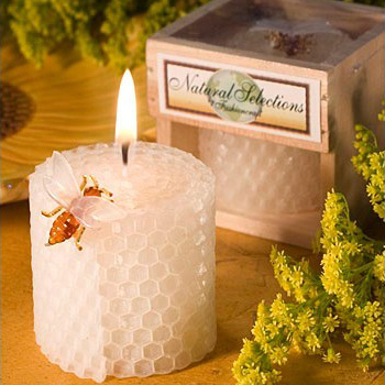 Children's Birthday Party Supp - مراجعة Candle Supplies Usa وسعره