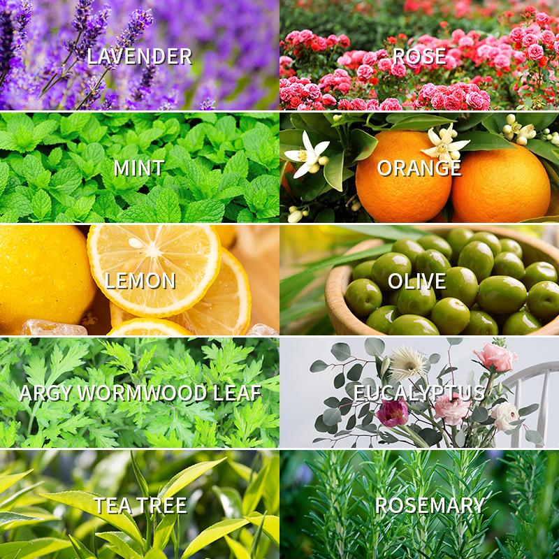 Aromatherapy Essential Oil 10m - مراجعة Fragrance Oil 10Ml وسعره